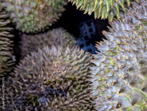 Картината върху платно A close up macro texture of sharp green durian thorns.