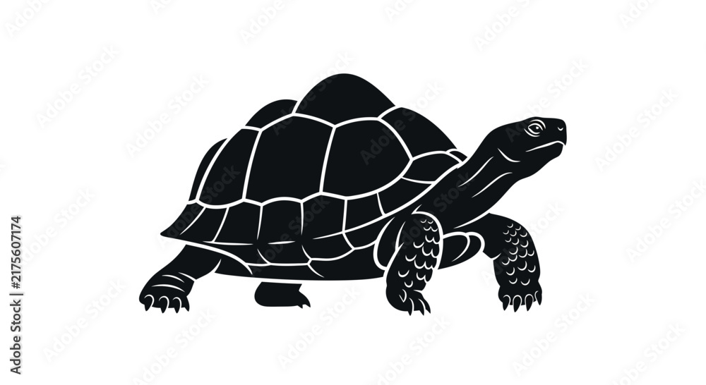 Fototapeta premium Minimalist black and white vector illustration of a walking tortoise.