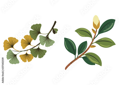 Boho Botanical Leaves & Foliage Cliparts Graphic