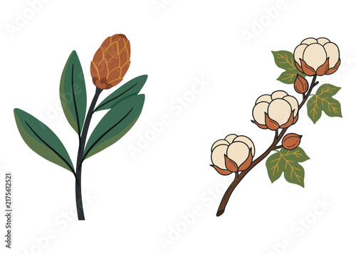 Boho Botanical Leaves & Foliage Cliparts Graphic