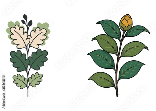 Boho Botanical Leaves & Foliage Cliparts Graphic