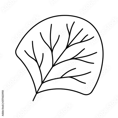 Outline of a leaf with veins
