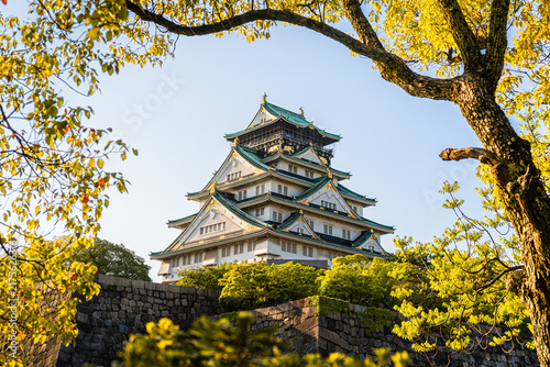 Photography Osaka Castle keep framed by sunlit tree branches above its stone rampart in spri