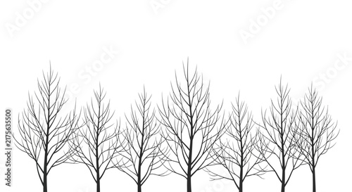 A row of black bare trees with no leaves, standing tall against a clean white background, creating a stark and minimalist winter scene.