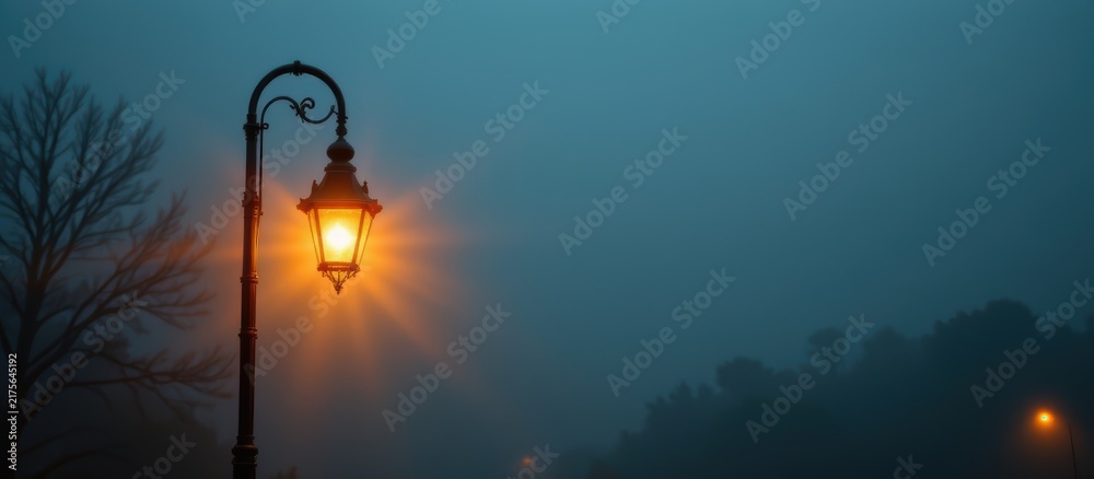 Obraz premium Vintage street lamp glowing warmly on foggy night with silhouetted trees and distant lights