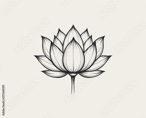 Hand-drawn black and white lotus flower sketch with detailed petals on a plain background.