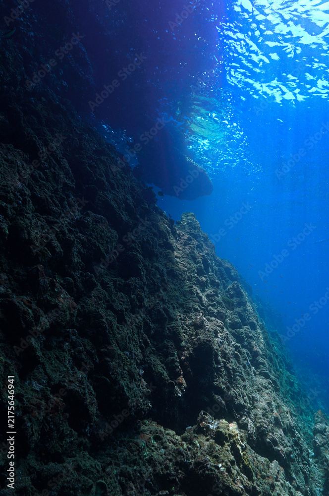 Fototapeta premium nderwater photo of rays of sunlight over a reef.