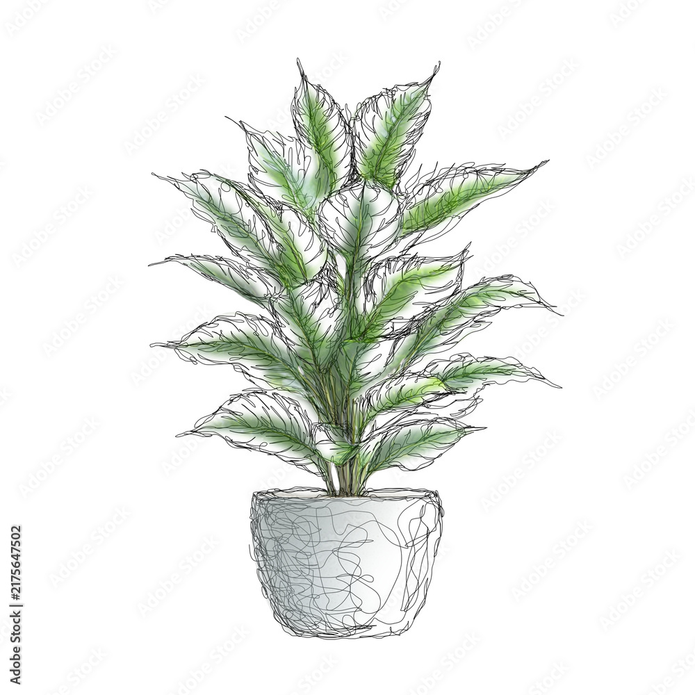 Fototapeta premium Hand Drawn Peace Lily Plant Scribble Art