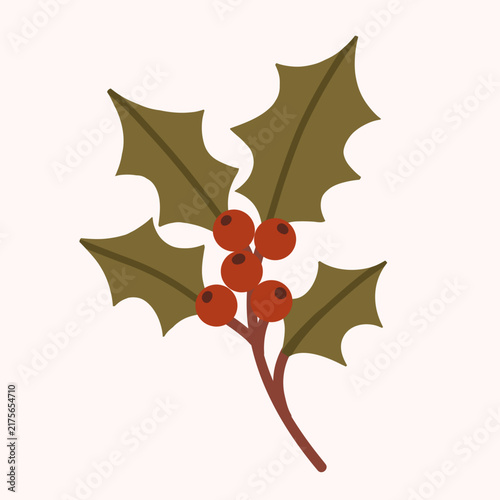 Christmas Holly Branch with Red Berries Vector