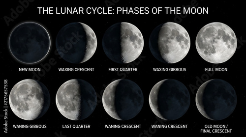 Diagram showing the complete lunar cycle and the various phases of the moon against a black background