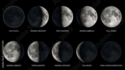 A scientific chart showing the complete lunar cycle phases against a dark black background