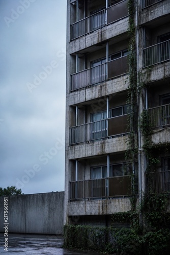 Vertical abandoned public apartment building with wet vines
