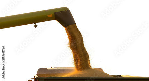 Excavator digging and pouring sand on construction site