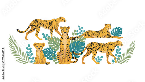 Cheetah family vector illustration featuring vibrant golden spotted cats amongst stylized tropical green leaf jungle foliage