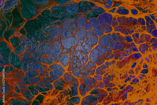 Abstract fluid with cells and veins in deep blue, purple, and orange hues fluid acrylic pouring