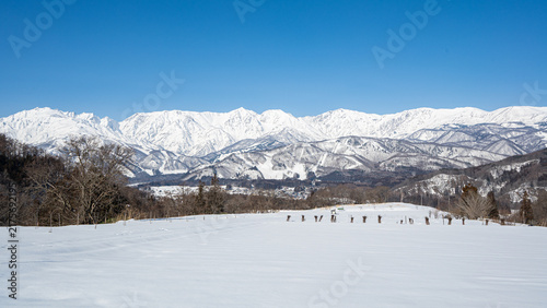 Obraz na płótnie 雪が積もった北アルプスの山並み 日本の冬景色