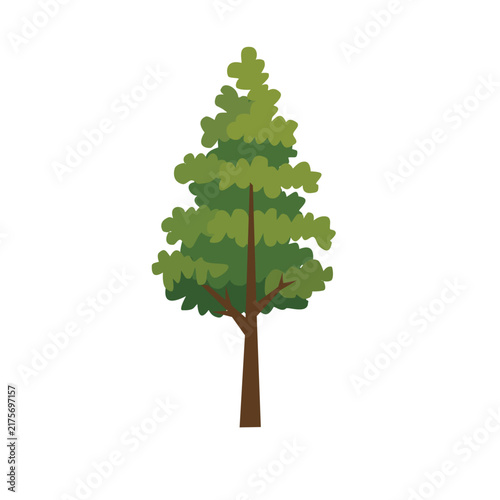 Coniferous Tree. Green Conifer Tree Icon. Pine Tree Vector Illustration. Evergreen Conifer Tree.