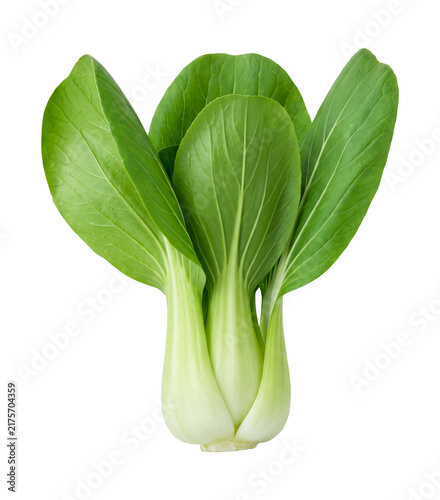 Konstfotografi Fresh Green Bok Choy (Pak Choi) Isolated on Transparent Background – Whole Baby