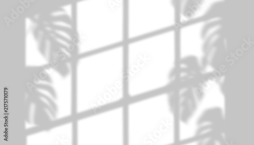 Window frame and monstera leaf shadow overlay isolated on transparent background for mockup