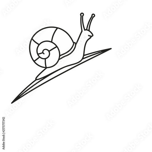 Snail outline on a leaf