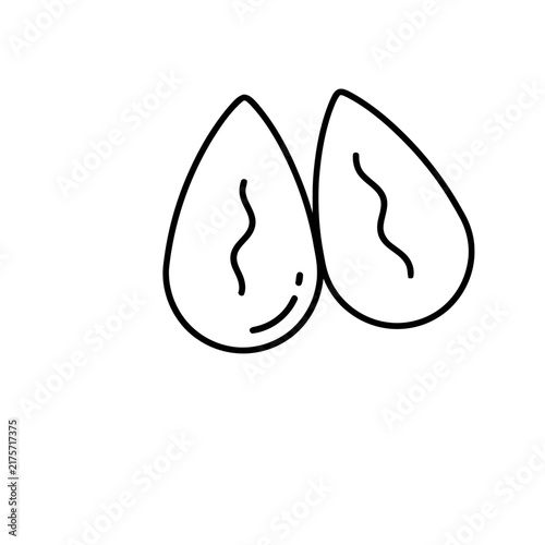 Two Almonds Icon