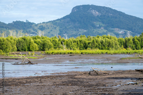 Muddy riverbank stretches under a calm sky