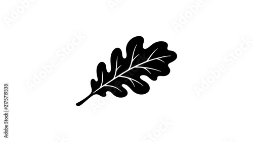 Oak leaf silhouette on a transparent background for nature design.