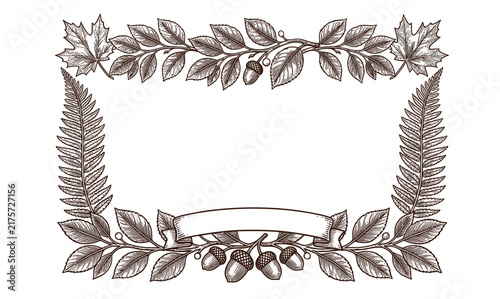 Vintage Autumn Botanical Frame with Oak Leaves, Acorns, Ferns and Decorative Ribbon in Detailed Engraving Style