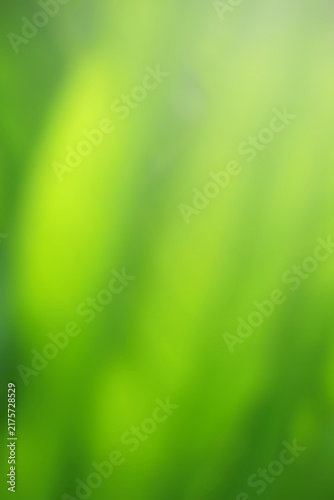 Green leaf background Yellow, blurry leaves Bokeh circles from light shining through As a background and Beautiful computer screen image	
