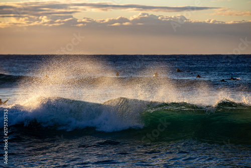Breaking ocean wave glowing in warm golden hour sunlight