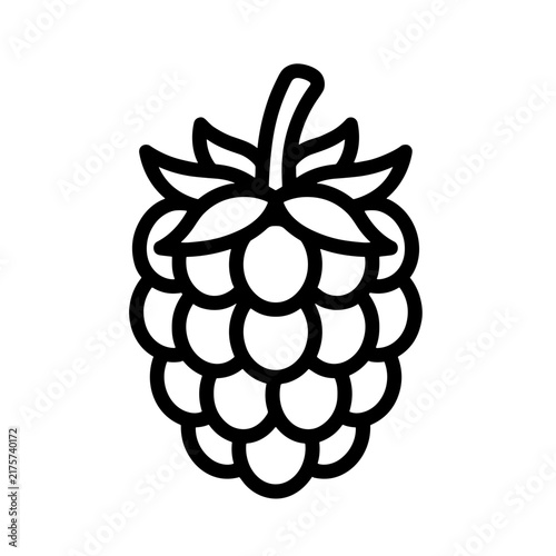 vector illustration of a raspberry