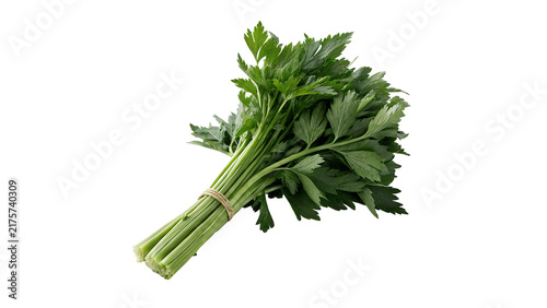 Bunch of fresh green  cilantro, coriander culinary herbs isolated on transparent background