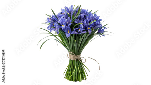 Small bundle of purple wildflowers tied with string isolated on transparent background
