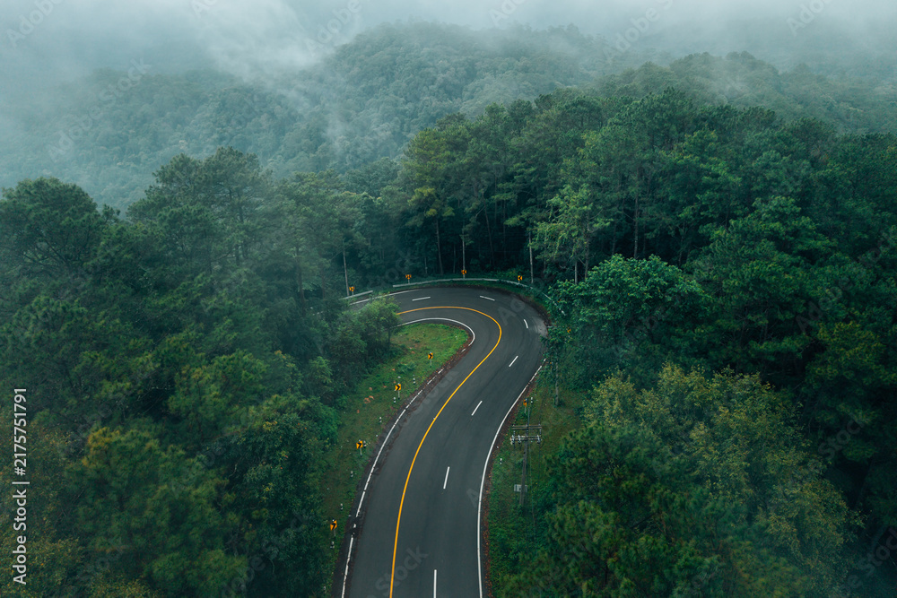 Obraz premium Atmospheric view of a winding road with yellow warning signs cutting through a dense misty pine forest on the scenic Chiang Mai to Pai route in Northern Thailand.