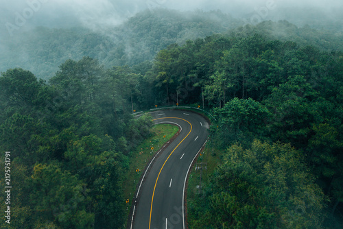 Atmospheric view of a winding road with yellow warning signs cutting through a dense misty pine forest on the scenic Chiang Mai to Pai route in Northern Thailand.