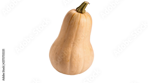 Obraz na płótnie Fresh raw butternut squash pear shaped pumpkin isolated on transparent background for autumn thanksgiving cooking