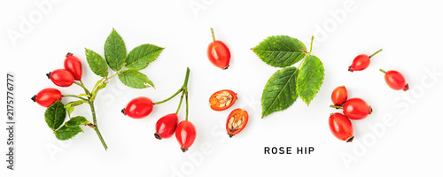 Fresh rose hips isolated on white background. Minimalist botanical corner composition with red fruits, green leaves and branches