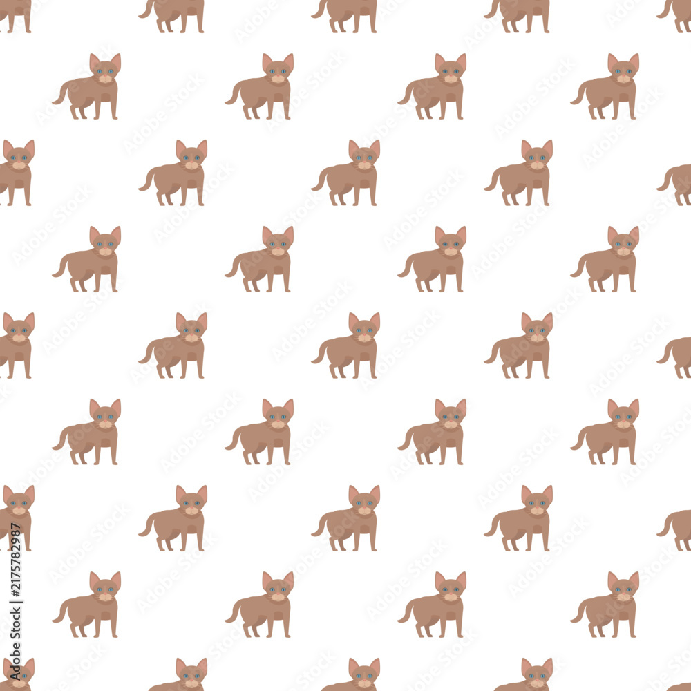 Obraz premium Abyssinian kittens creating a repeating animal wallpaper background