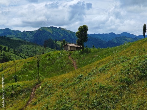Canvas Print Bamboo house in the mountains