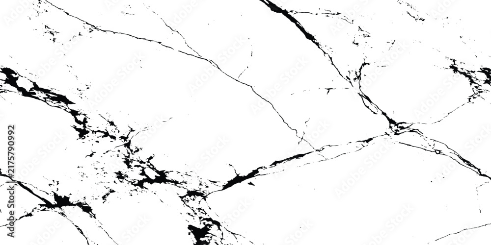 Fototapeta premium Black and white marble texture with jagged veins and cracks, abstract grunge stone pattern