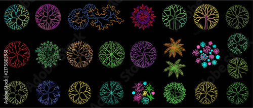 Editable CAD Vector Tree Icons for Architectural Design and Landscaping