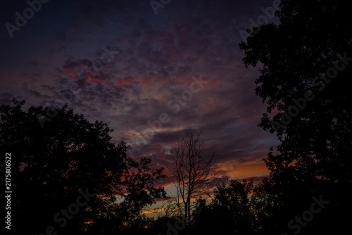 Moody sunset sky with colorful clouds above dark tree silhouettes