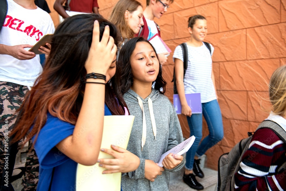 Fototapeta premium Students walking together outside school