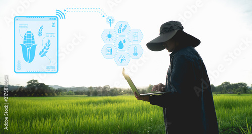 Farmer using laptop in lush green field with digital icons representing agricultural technology and data analysis