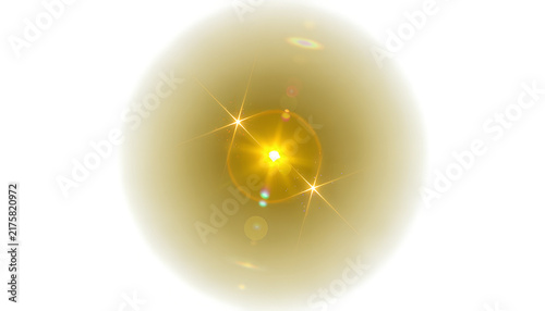 golden egg on white background