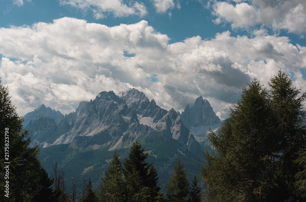 Obraz premium Rugged Mountain Peaks Behind Forest Silhouette