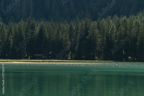 Calm Lake with Dense Forest Treeline Reflection