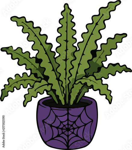 Halloween Fern Plant in Spiderweb Pot