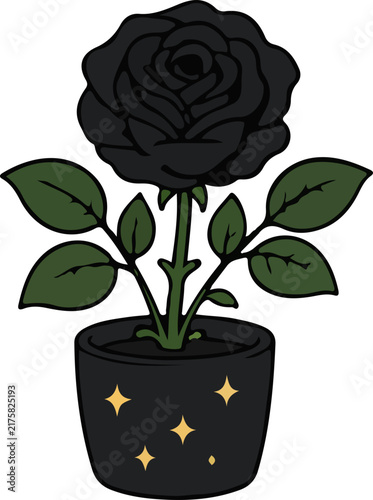 Black Rose Plant in Gothic Halloween Pot