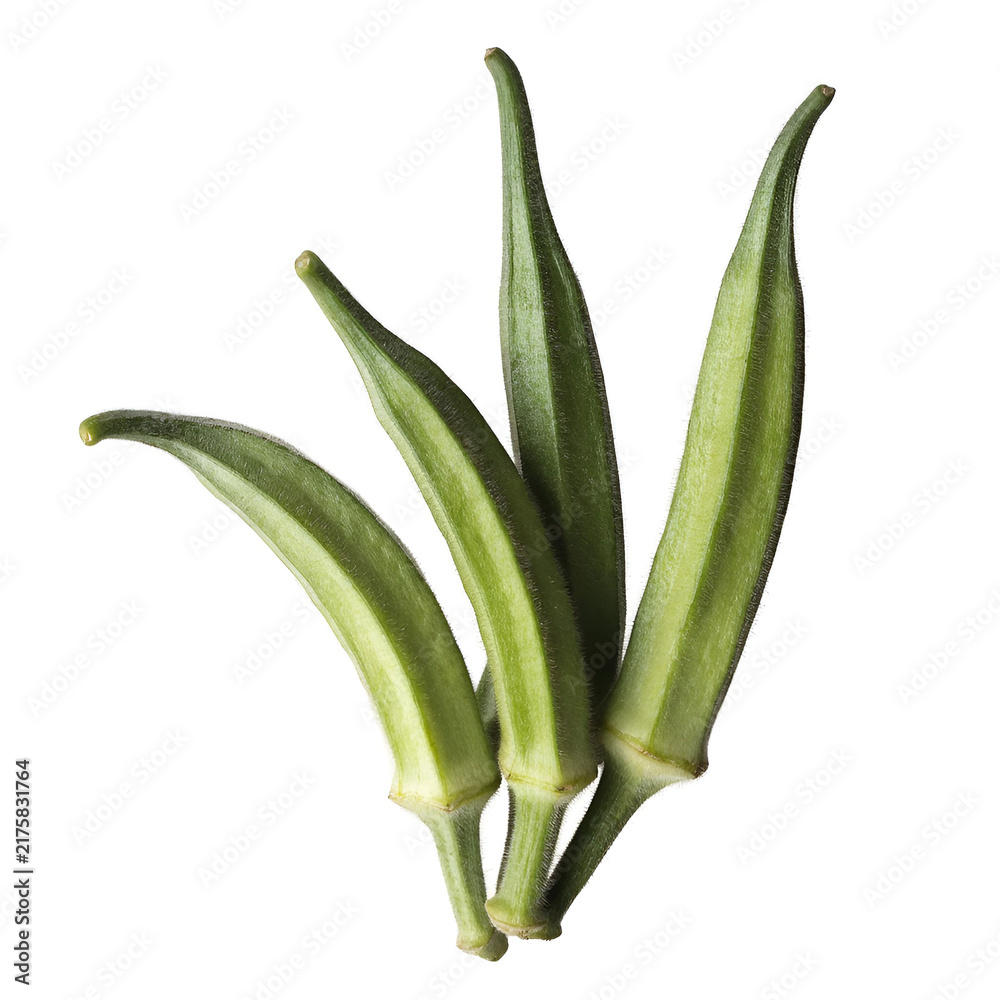 Fototapeta premium fresh okra isolated on solid white background-